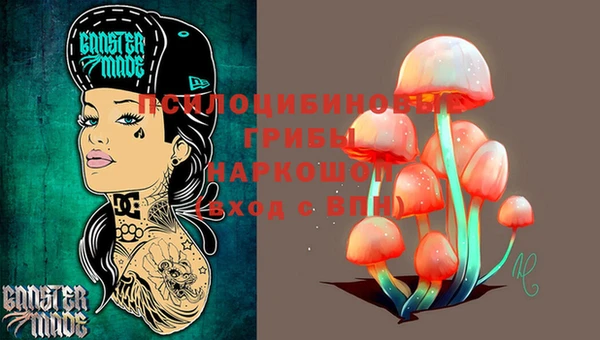 гидра Белоозёрский