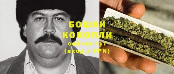 гидра Белоозёрский