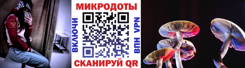 Галлюциногенные грибы GOLDEN TEACHER магазин Светогорск