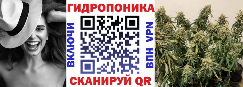 Бошки Шишки Amnesia  купить   Светогорск 